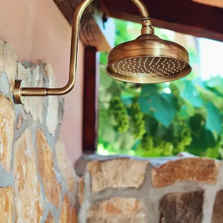 Oliva Guest house
