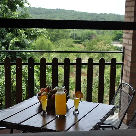 Oliva Guest house Fiorini